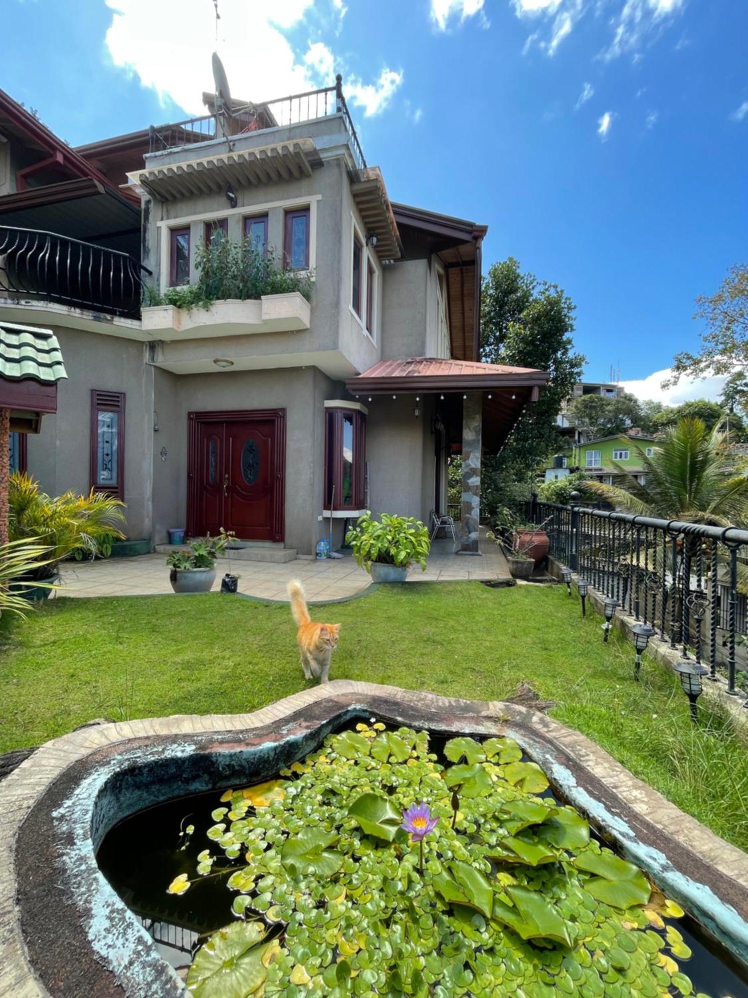中国蒲公英民宿dandelion Guest House Villa With Mount View Kandy Exteriér fotografie