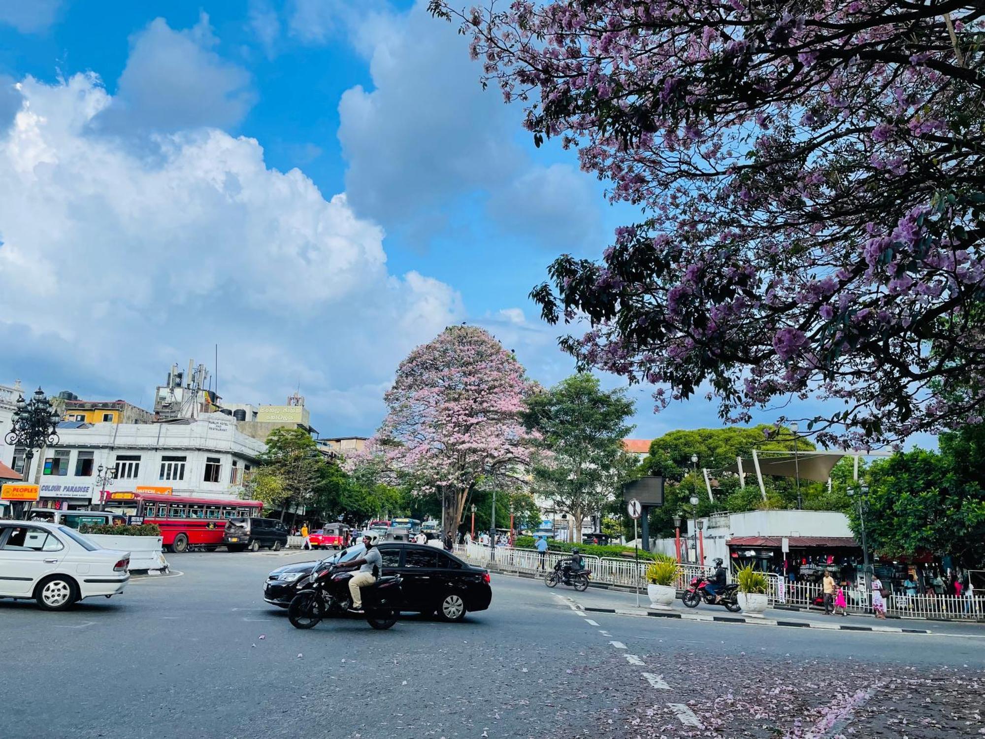 中国蒲公英民宿dandelion Guest House Villa With Mount View Kandy Exteriér fotografie