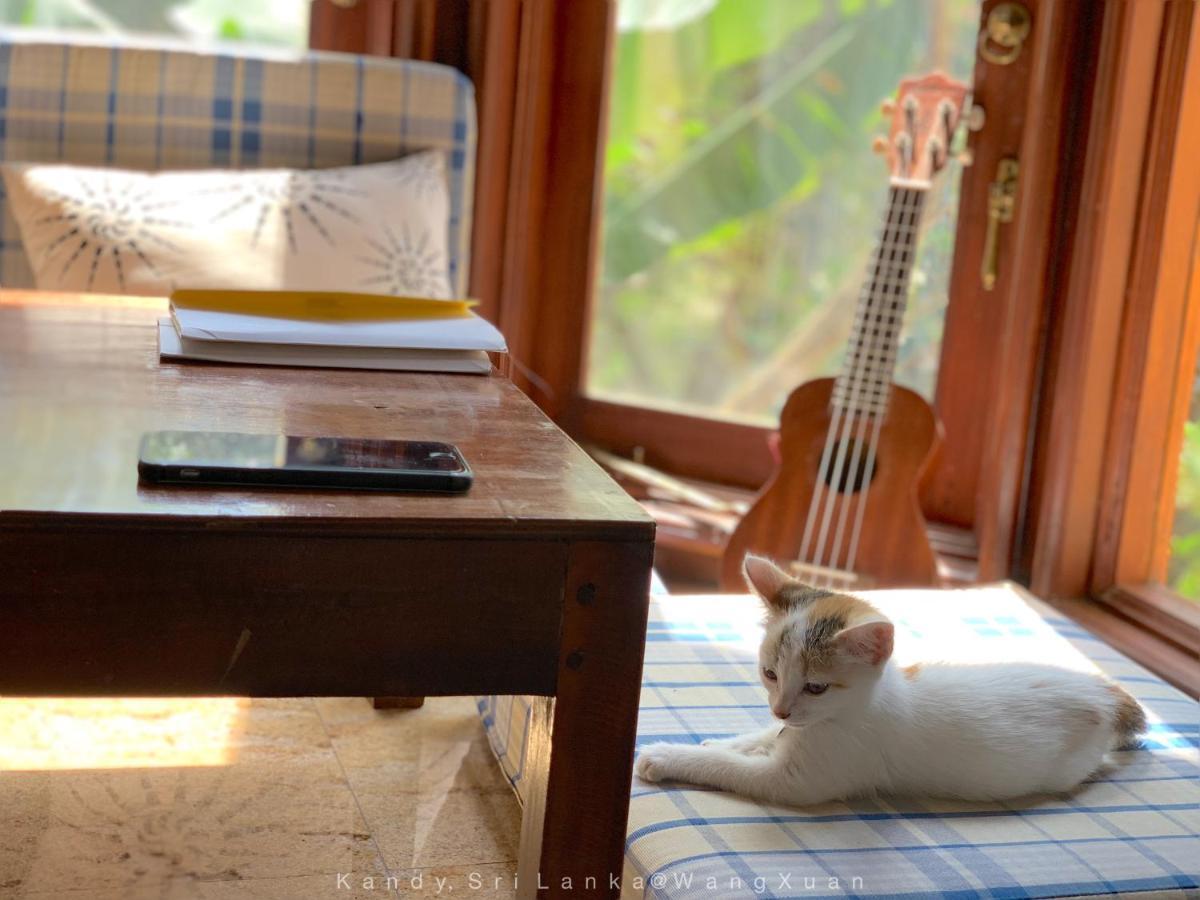 中国蒲公英民宿dandelion Guest House Villa With Mount View Kandy Exteriér fotografie